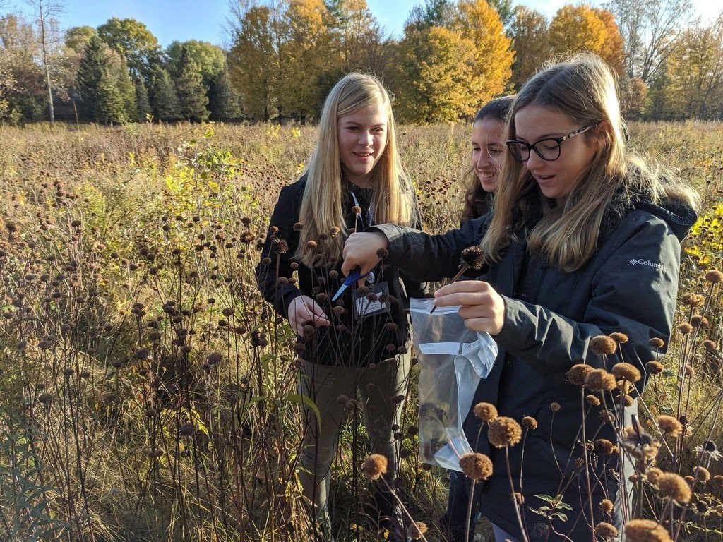 Students collecting seed pods